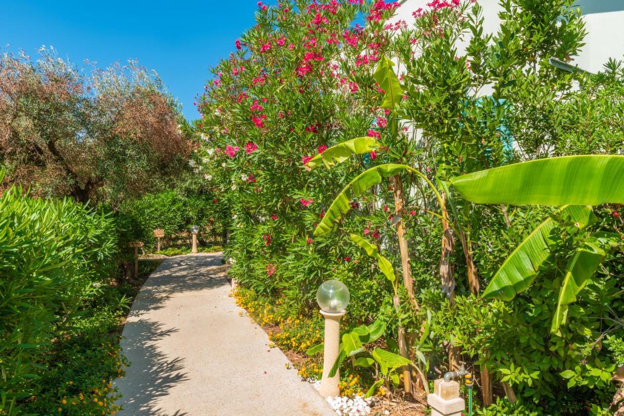 Dimora Tenuta Solentino ตอร์เร ซาน จิโอวานนิ อูเจนโต ภายนอก รูปภาพ
