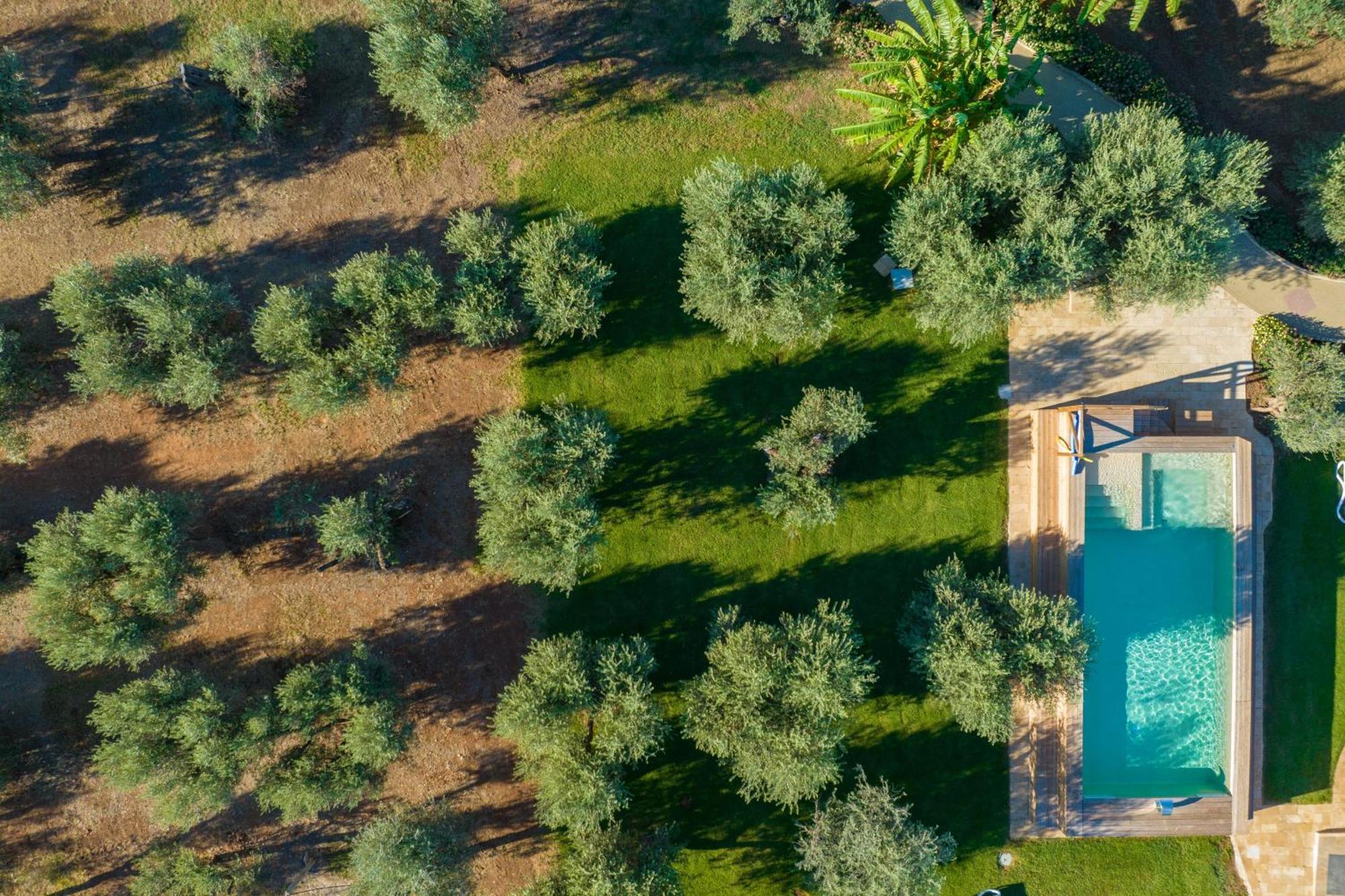 Dimora Tenuta Solentino ตอร์เร ซาน จิโอวานนิ อูเจนโต ภายนอก รูปภาพ
