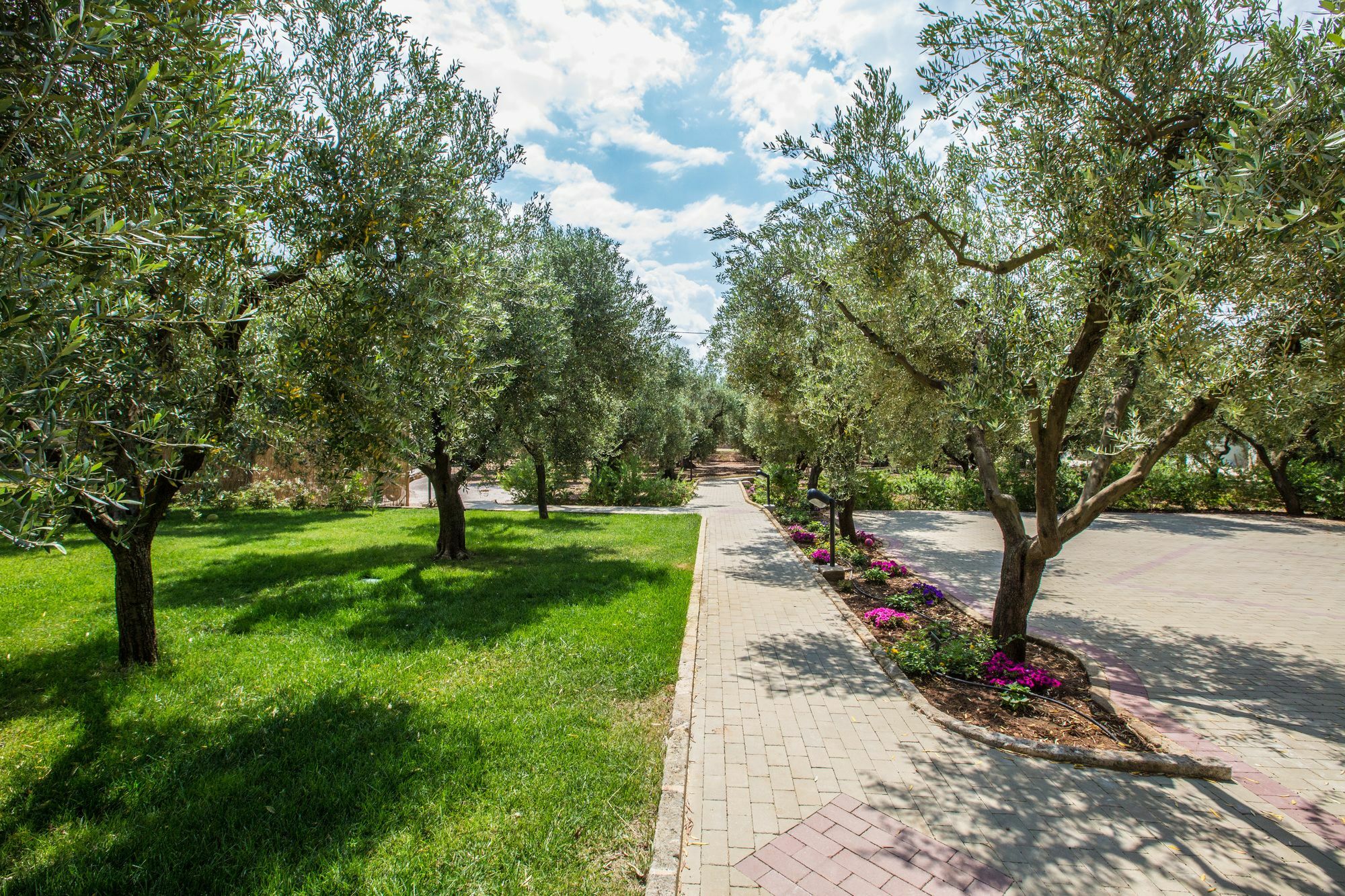 Dimora Tenuta Solentino ตอร์เร ซาน จิโอวานนิ อูเจนโต ภายนอก รูปภาพ